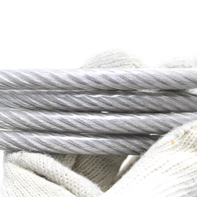 Nylon Coated Wire Rope 7*7 Ss  - Stainless Wire Ss316 review and price